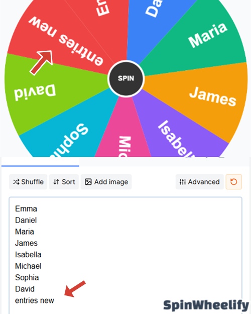 Add your choices like names or prizes to the entry list before spinning.