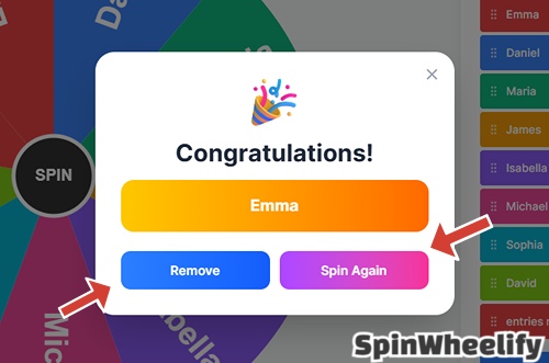 After each spin, choose to remove the winner or spin again for the next random draw.