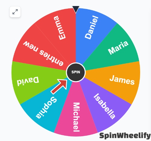 Click SPIN to start and watch the wheel randomly choose a winner from your entries.